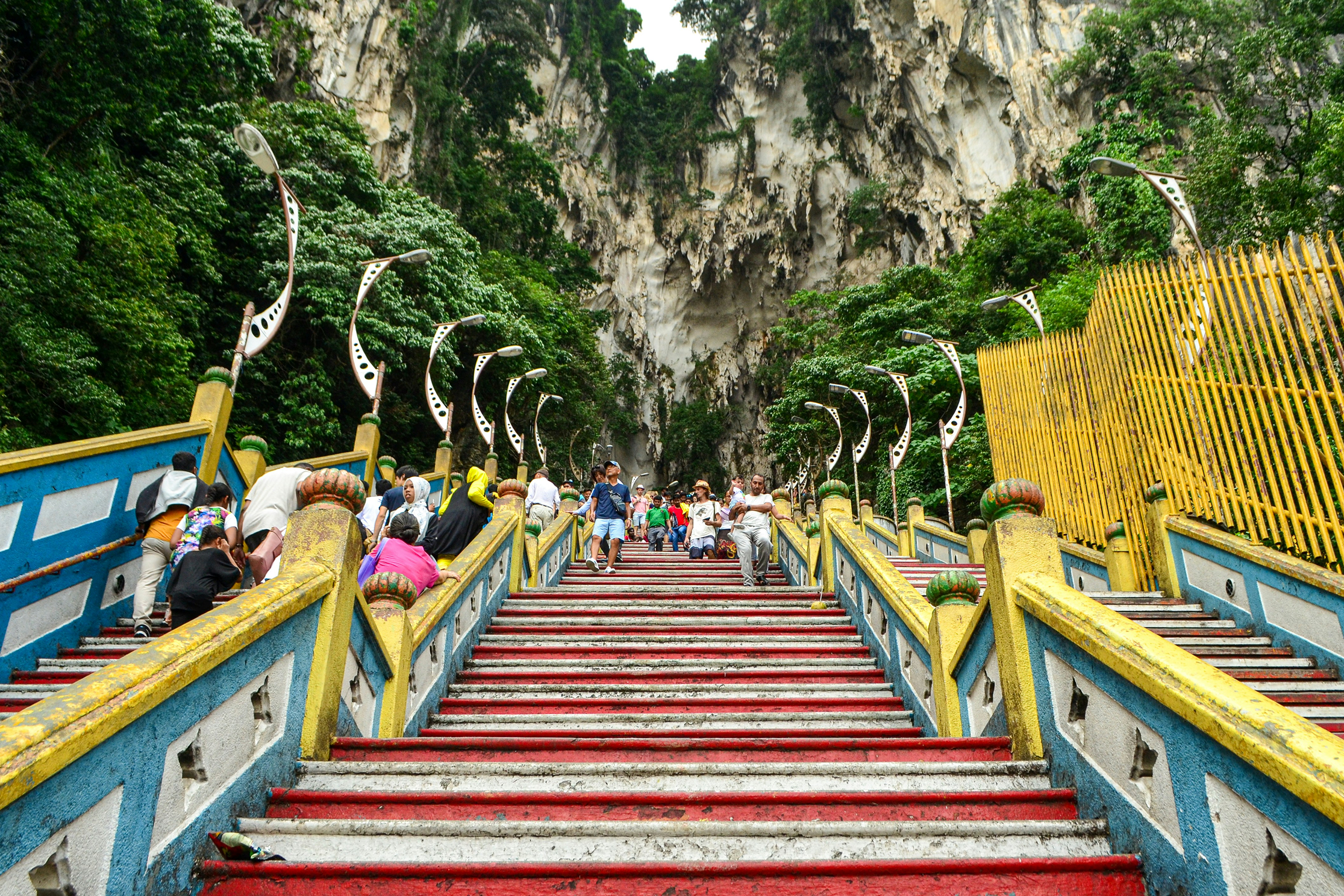 anelale-najera-lRYlFkiv3zE-unsplash 1