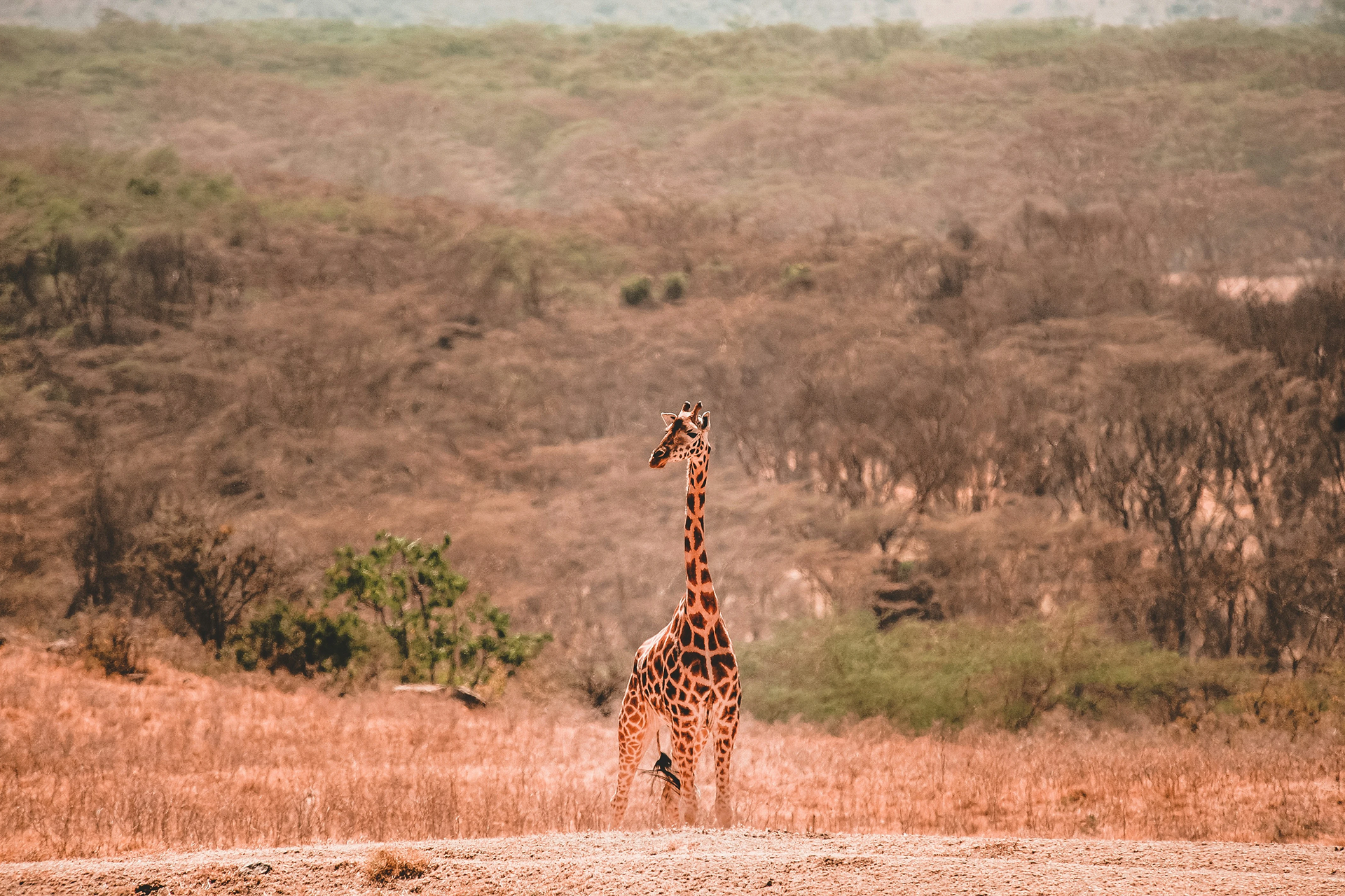 harshil-gudka-Cq-VkzcXvdg-unsplash