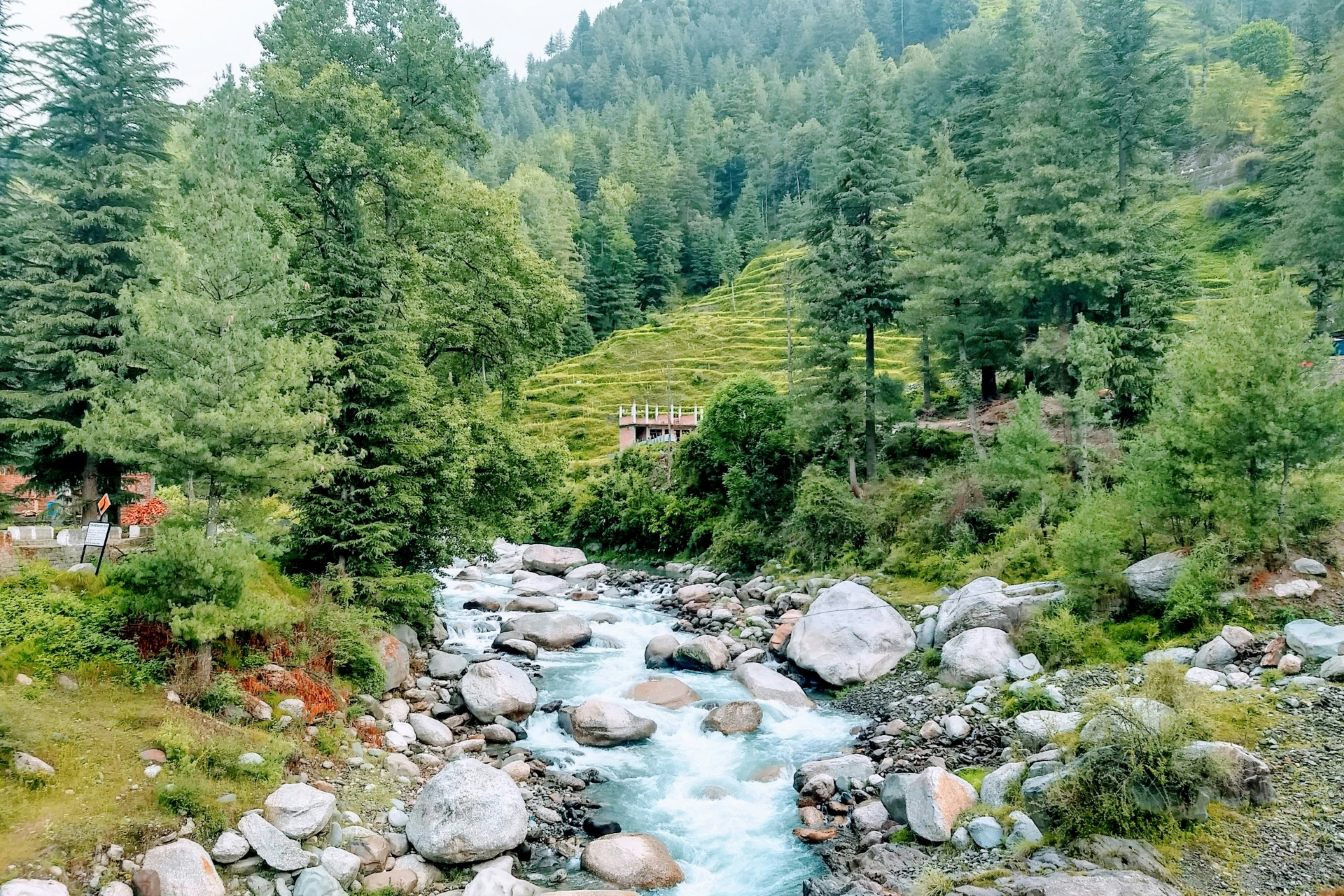 rohan-bhuri-h1AdscKcH_w-unsplash