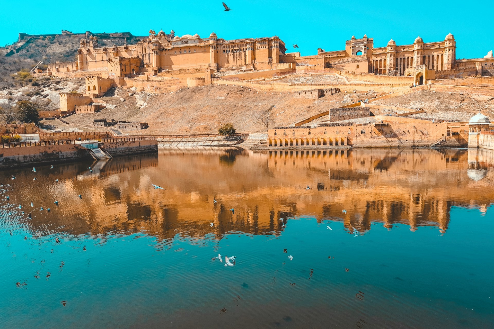 vishal-chokkala-fiDRLJvVUR0-unsplash