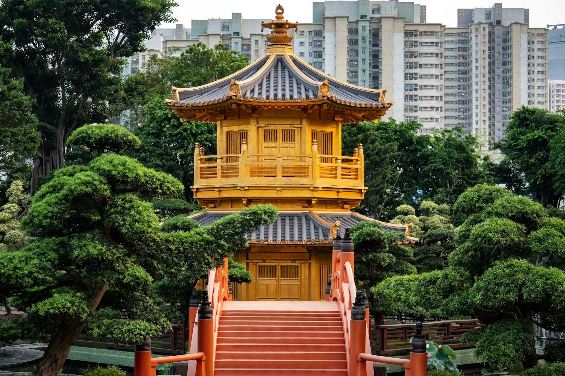 jamie-street-0DhHCuVaG4w-unsplash