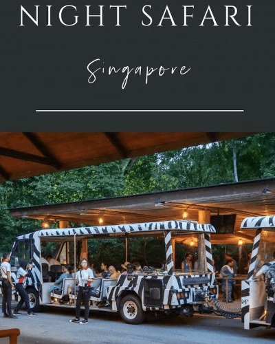 Night Safari