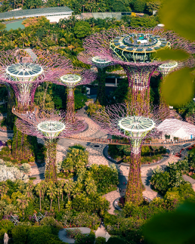 Botanical extravaganza