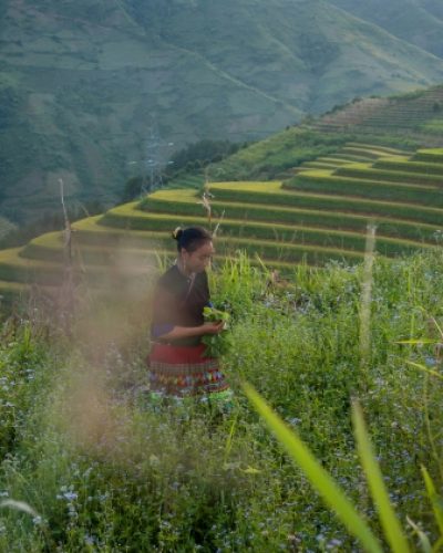 Theme Parks and attractions